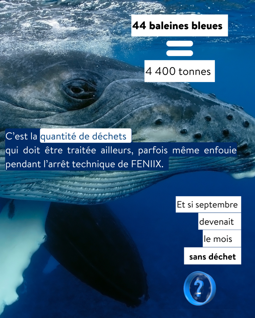 Septembre sans déchets